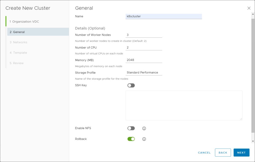 Cloud Director CSE - Anzahl Nodes und Optionen auswählen